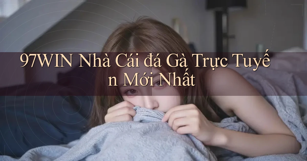 97win  nhà cái đá gà trực tuyến mới nhất