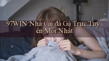 97win  nhà cái đá gà trực tuyến mới nhất