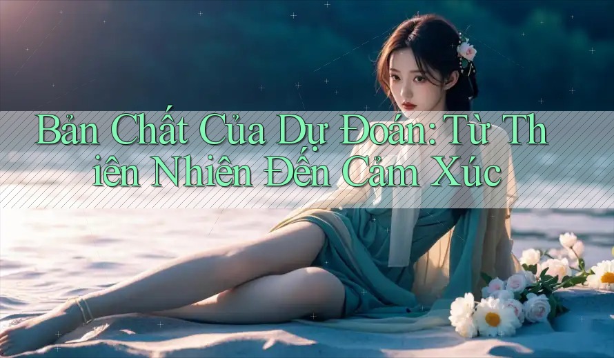 Bản Chất Của Dự Đoán: Từ Thiên Nhiên Đến Cảm Xúc