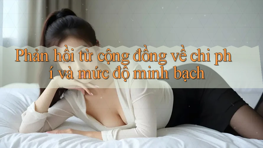 Phản hồi từ cộng đồng về chi phí và mức độ minh bạch