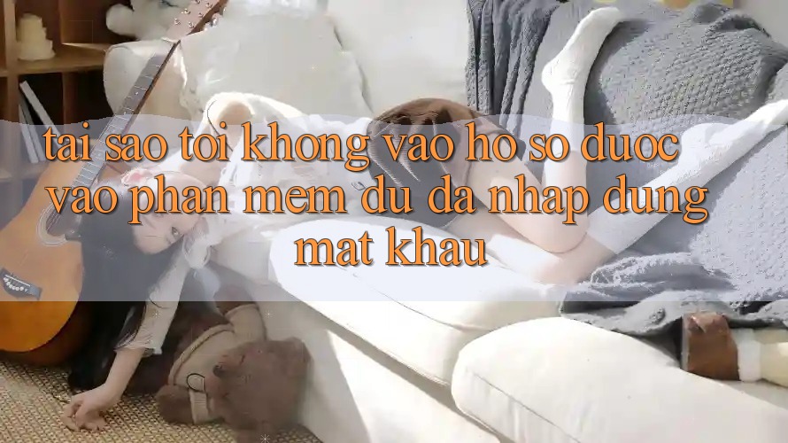 Tại sao tôi không vào hồ sơ được vào phần mềm dù đã nhập đúng mật khẩu?
